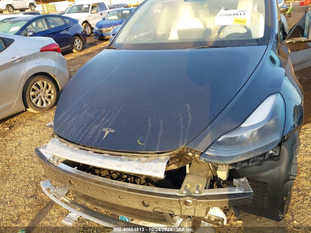 2024 TESLA MODEL Y 7SAYGDED6RF105175 Photo 9