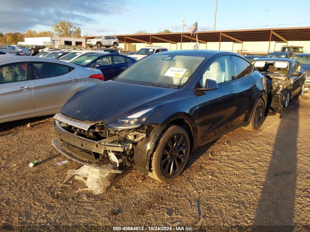 2024 TESLA MODEL Y 7SAYGDED6RF105175 Photo 1