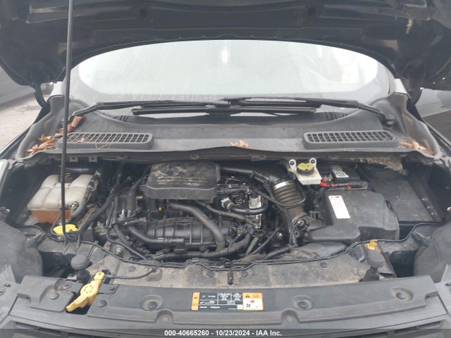Ford ESCAPE SE 2014 1FMCU9GX4EUB82936 Image 10