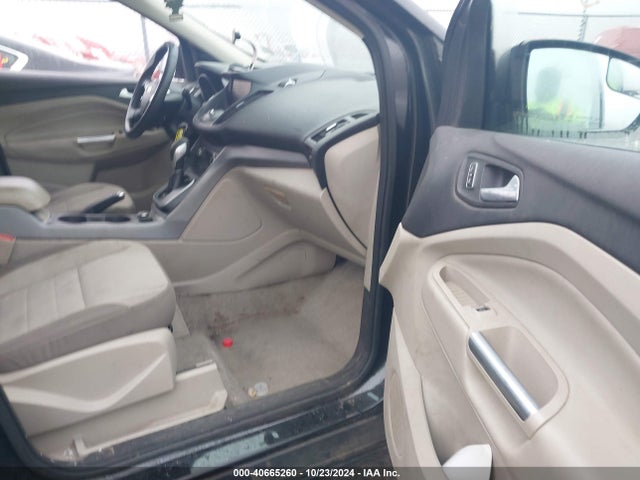 Ford ESCAPE SE 2014 1FMCU9GX4EUB82936 Image 5
