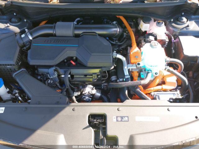 KNDPYDDH1R7161928 KIA Sportage Plug-in Hybrid X-line