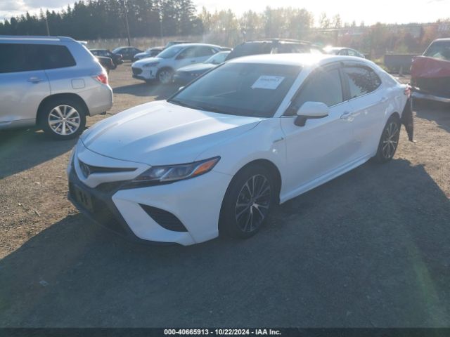 4T1G31AK0LU538721 Toyota Camry Se Hybrid