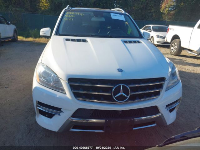 4JGDA5HB1FA569696 Mercedes-Benz Ml 350 4matic