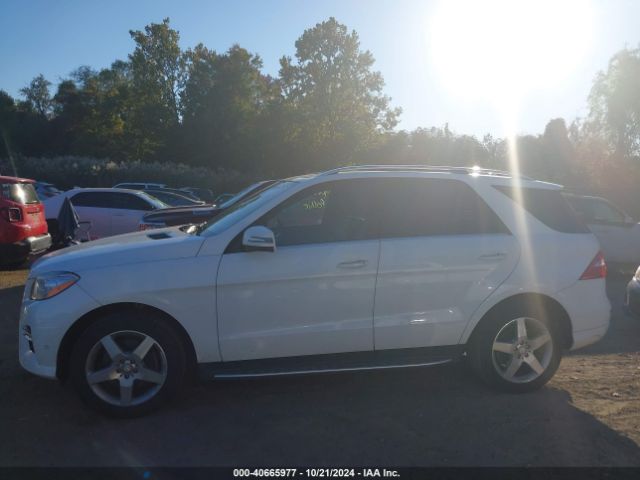 4JGDA5HB1FA569696 Mercedes-Benz Ml 350 4matic
