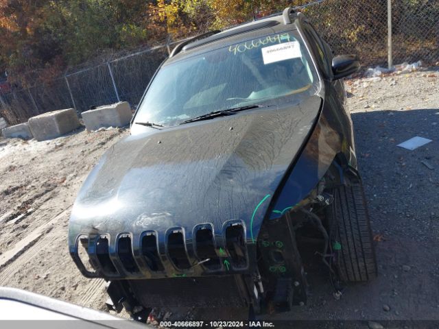 1C4PJMCS3GW307993 Jeep Cherokee 75th Anniversary