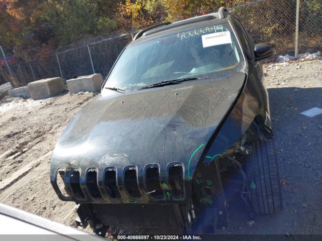 1C4PJMCS3GW307993 Jeep Cherokee 75th Anniversary