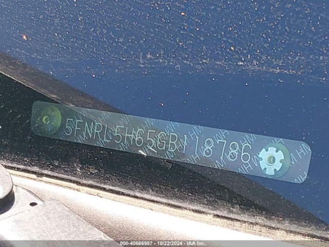 5FNRL5H65GB118786 Honda Odyssey Ex-l