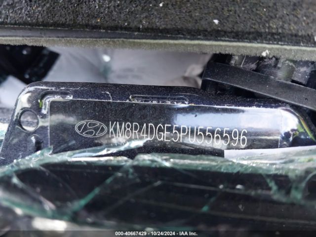 KM8R4DGE5PU556596 Hyundai Palisade Sel