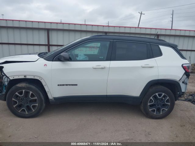 3C4NJDDB2LT166954 Jeep Compass Trailhawk 4x4
