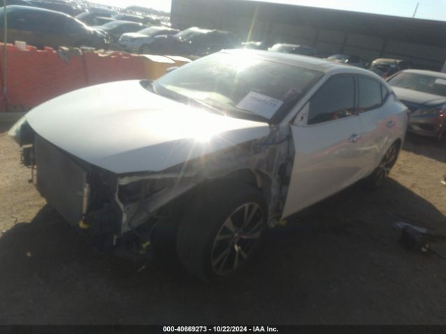1N4AA6AP0GC389401 Nissan Maxima 3.5 Platinum