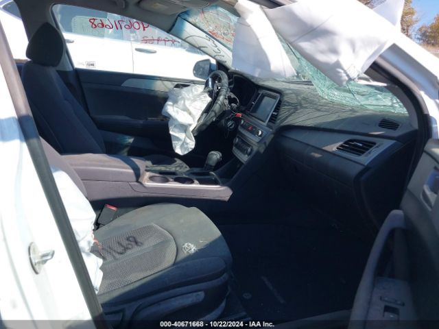 5NPE24AF0JH602282 Hyundai SONATA SE
