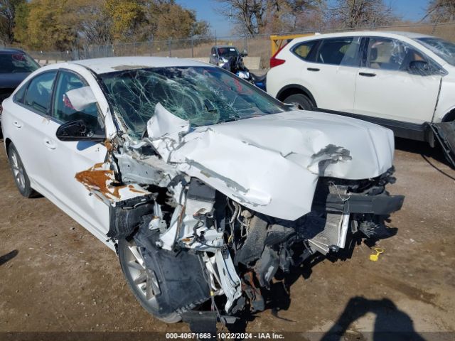 5NPE24AF0JH602282 Hyundai SONATA SE