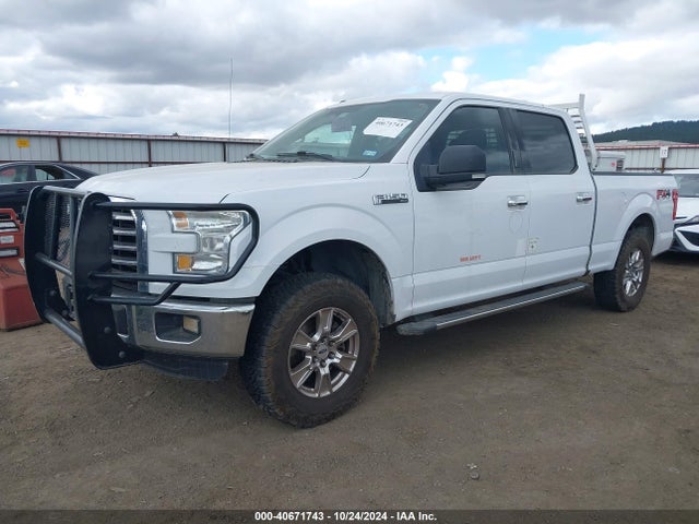 Ford F-150 Xlt 2016 1FTFW1EF7GKD09782 Image 2