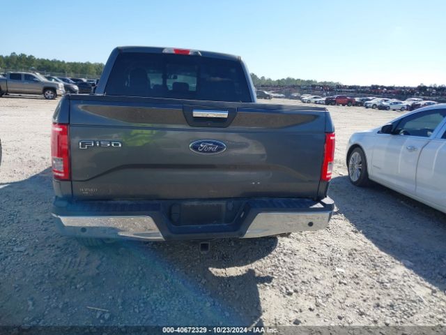 1FTEW1CP8FFC12119 Ford F-150 Xlt