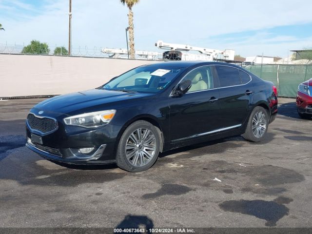 KNALN4D73E5135106 KIA Cadenza Premium