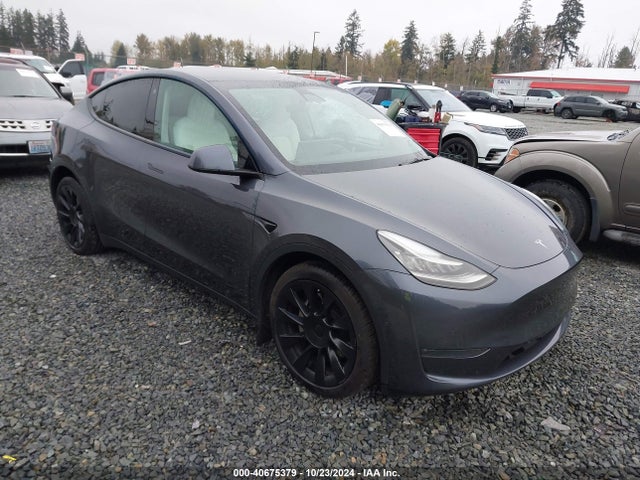 2021 TESLA MODEL Y 5YJYGDEE9MF098608 Photo 0