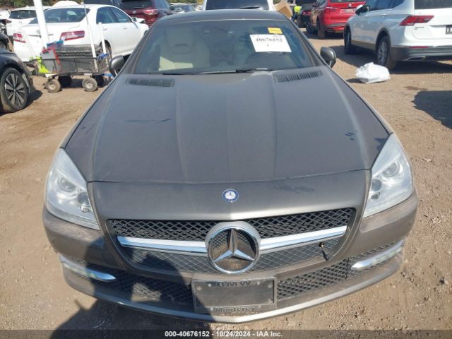 WDDPK4HAXFF101183 Mercedes-Benz SLK 250