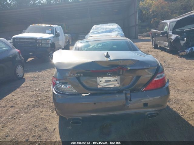 WDDPK4HAXFF101183 Mercedes-Benz SLK 250