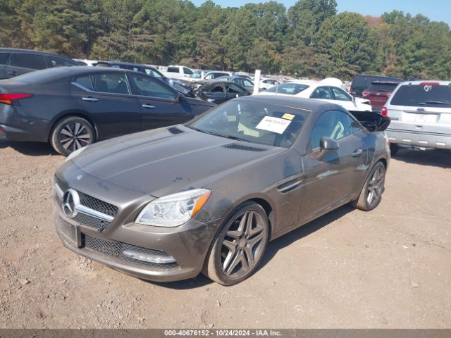 WDDPK4HAXFF101183 Mercedes-Benz SLK 250