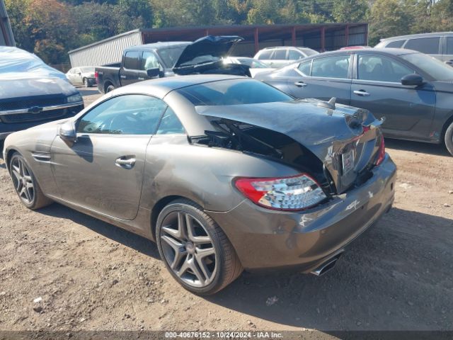 WDDPK4HAXFF101183 Mercedes-Benz SLK 250