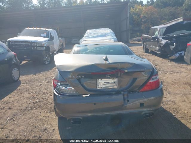 WDDPK4HAXFF101183 Mercedes-Benz SLK 250