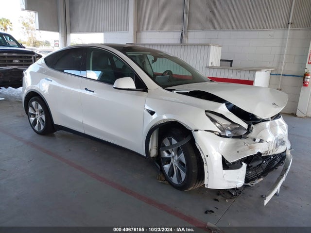 2020 TESLA MODEL Y 5YJYGDEE9LF055692 Photo 0