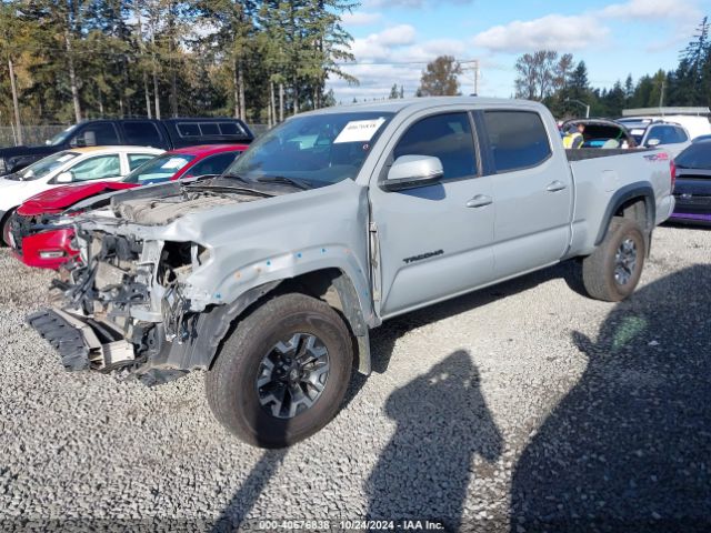 3TMDZ5BN6KM071135 Toyota Tacoma Trd Off Road