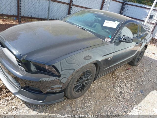 1ZVBP8AM9E5268556 Ford Mustang V6