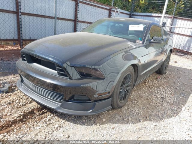 1ZVBP8AM9E5268556 Ford Mustang V6
