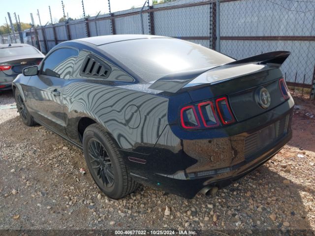 1ZVBP8AM9E5268556 Ford Mustang V6