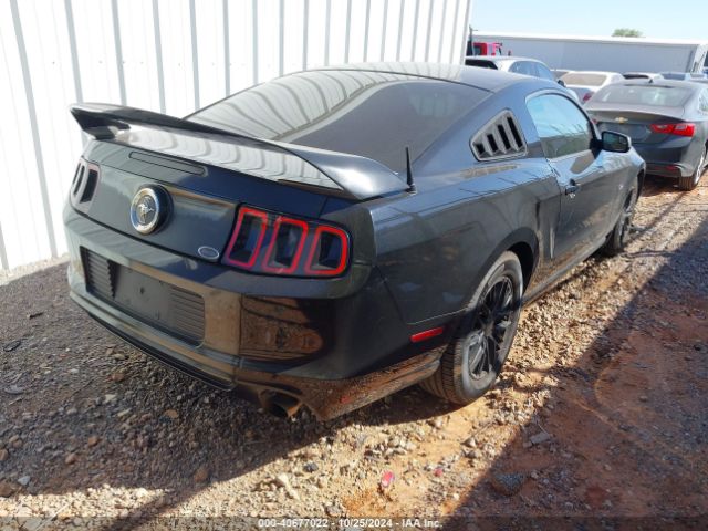 1ZVBP8AM9E5268556 Ford Mustang V6