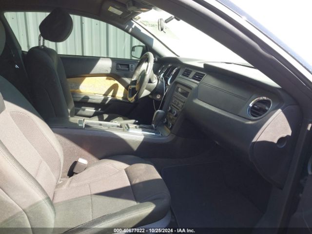 1ZVBP8AM9E5268556 Ford Mustang V6