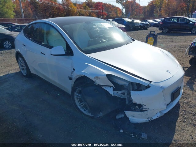 2022 TESLA MODEL Y 7SAYGDEE9NF310377 Photo 0
