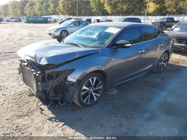 1N4AA6AP7HC443245 Nissan Maxima 3.5 Sv