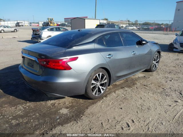 1N4AA6AP7HC443245 Nissan Maxima 3.5 Sv