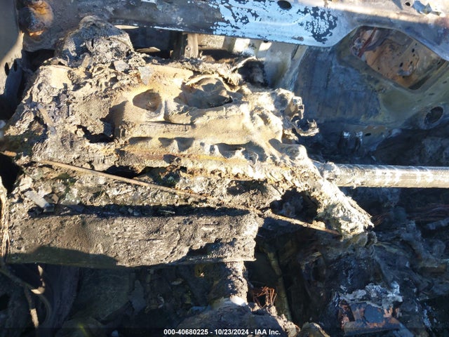 2021 TESLA MODEL 3 5YJ3E1EA7MF051704 Photo 6