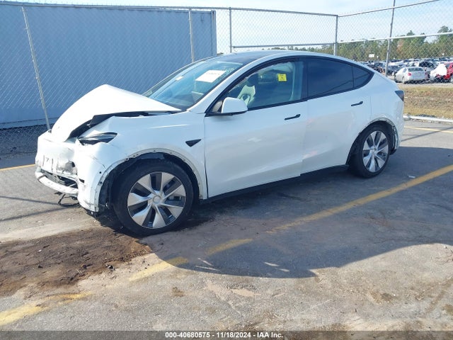 2021 TESLA MODEL Y 5YJYGDEE1MF106202 Photo 1