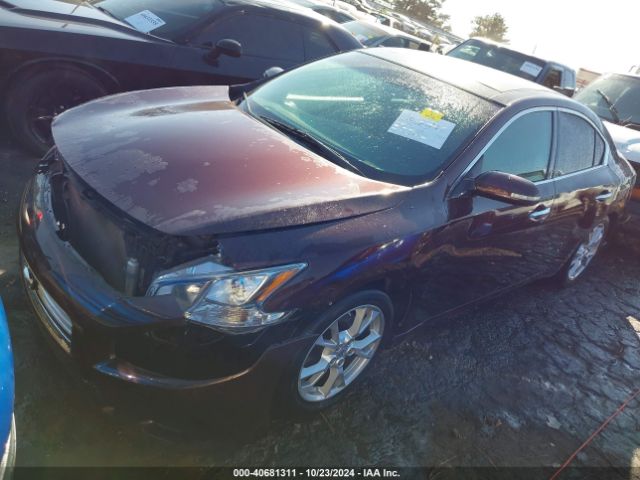 1N4AA5AP2EC482749 Nissan Maxima 3.5 Sv