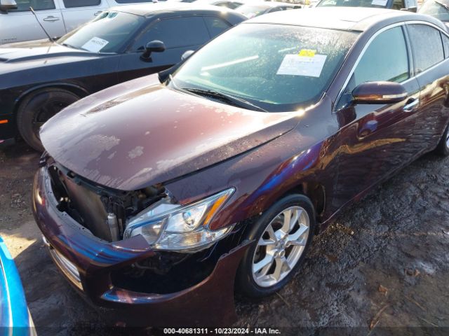 1N4AA5AP2EC482749 Nissan Maxima 3.5 Sv