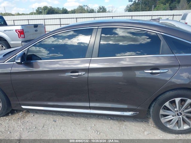 Hyundai Sonata Sport 2016 5NPE34AF9GH329512 Image 14