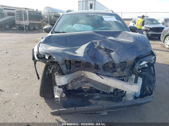 1C4PJMDX9LD609594 Jeep Cherokee High Altitude 4x4