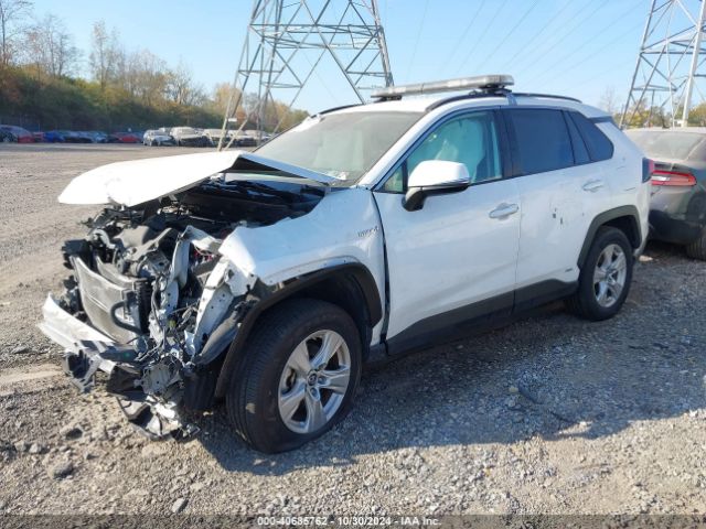 2T3MWRFV1KW025477 Toyota Rav4 Hybrid Le