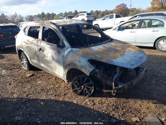Hyundai TUCSON SE 2017 KM8J3CA46HU378323 Image 1