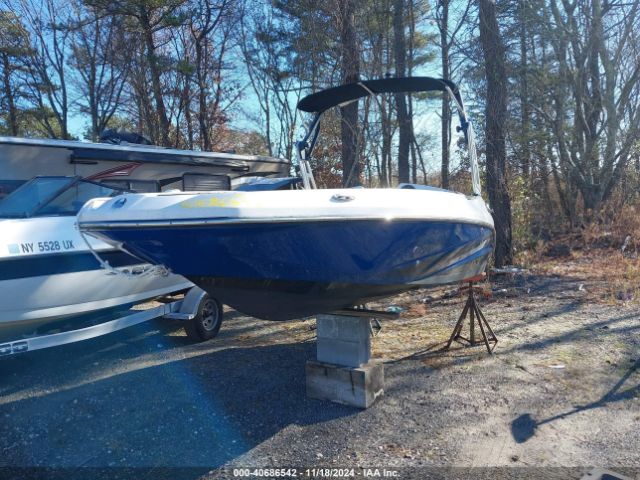 2019 SCARAB SCARAB PSBSA153L819      Photo 1