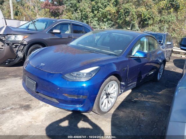 2023 TESLA MODEL 3 5YJ3E1EA2PF448791 Photo 1