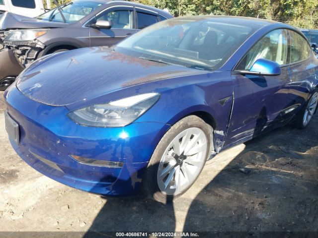 2023 TESLA MODEL 3 5YJ3E1EA2PF448791 Photo 5