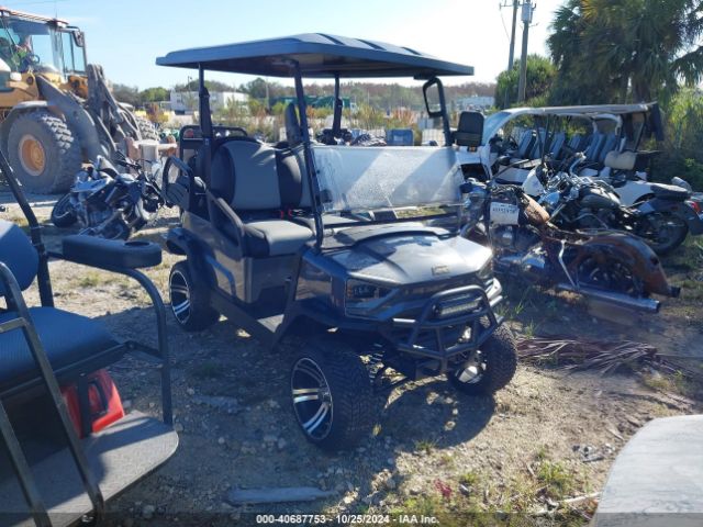 2023 COLEMAN GOLF CART L9NAC5KW48VP51540