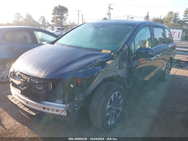 Honda Odyssey Ex-l 2024 5FNRL6H62RB005161 Image 6