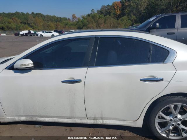1N4AA5AP4EC461157 Nissan Maxima 3.5 Sv