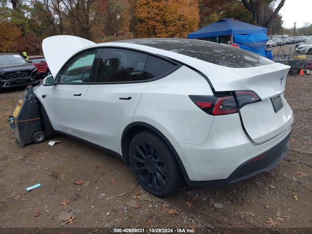 2024 TESLA MODEL Y 7SAYGDEE8RF036837 Photo 2